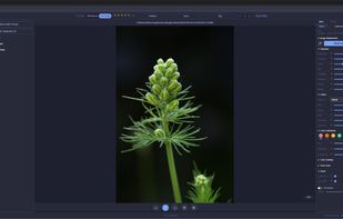 RAW Editing
