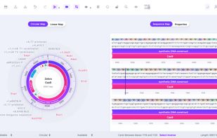 Easy-to-use DNA editing