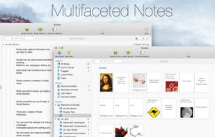 Studies screenshot 1