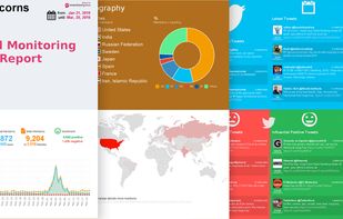 Export well-crafted reports and infographics
