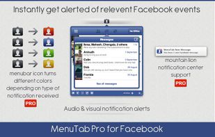 Menu Tab Pro for Facebook screenshot 1