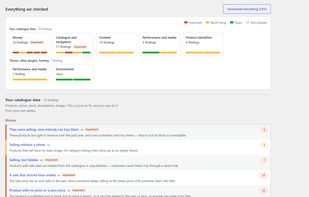 Everything we checked: a bar for each area of the store, then every rule with its count, split into what came from your own data and what came from your theme or plugins - including the rules that found nothing, which say "clean" rather than staying silent.
