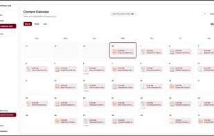See your whole month of scheduled pins in the content calendar, so you can plan months ahead and never leave a gap in your posting schedule.