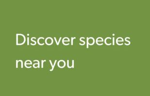 Merlin Bird ID screenshot 3