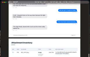 pdf raport