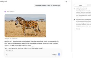 Meta AI screenshot 3