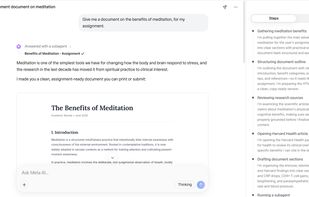 Meta AI screenshot 2