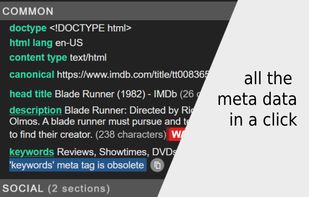 META SEO Inspector screenshot 1