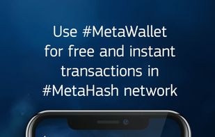 MetaGate screenshot 2