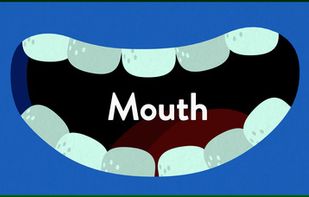 Metamorphabet screenshot 1