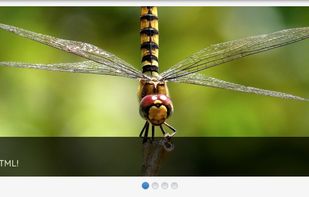 MetaSlider screenshot 2