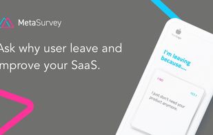 MetaSurvey screenshot 1