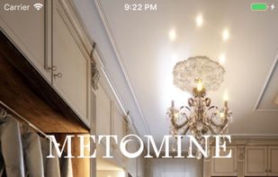 METOMINE screenshot 1