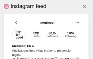 Instagram Feed Preview