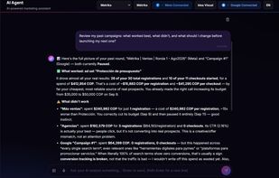 The AI agent reviews your real results and tells you what worked, what didn't and what to change.