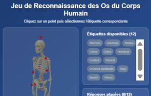 Gamified learning experiences including quizzes, puzzles, and games