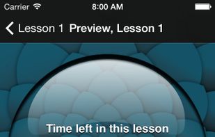 Learn a Language with Michel Thomas screenshot 2