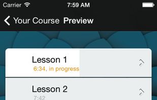 Learn a Language with Michel Thomas screenshot 3