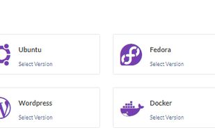 MicroHost Operating systems and apps