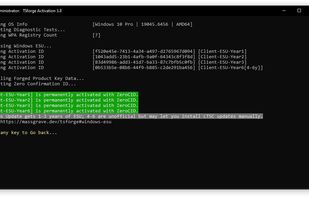 Microsoft-Activation-Scripts (MAS) screenshot 3