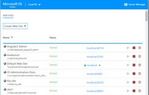 Microsoft IIS screenshot 1
