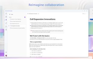 Microsoft 365 Copilot screenshot 2