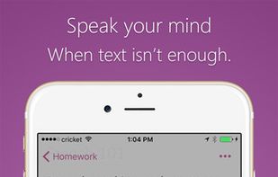 Microsoft OneNote screenshot 1