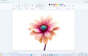 Microsoft Paint screenshot 1