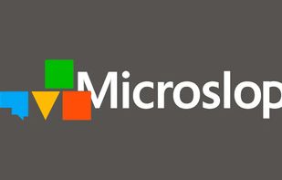 Microsoft to Microslop screenshot 2