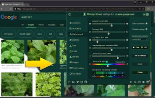 Midnight Lizard screenshot 3
