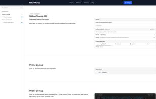 API playground and documentation