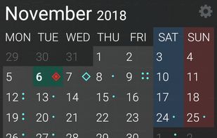 MinCal Widget screenshot 1