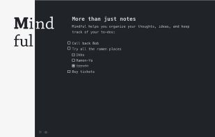 Mindful screenshot 2