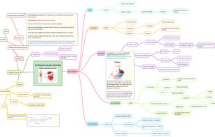 Mindmap created for studying biology