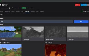 Server Property Customizer