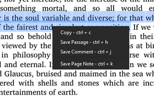 Minimal eReader screenshot 2