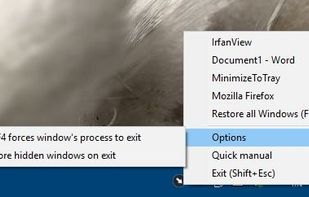MinimizeToTray screenshot 2