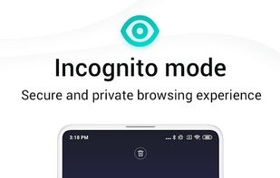 Mint Browser screenshot 3