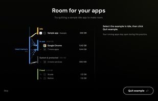 Memory onboarding demo: review an example idle app before quitting it. Sample data. Memory features are available in the website download and Setapp versions; they are not included in the Mac App Store version.