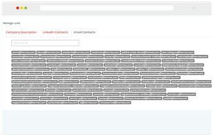 MiragetLeads | B2B Lead Generation screenshot 3