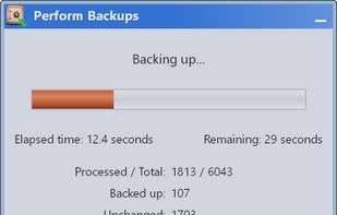 Progress window during backup.