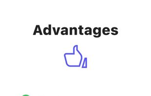 MirrorMeister screenshot 3