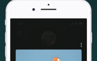 MirrorMirror Challenge screenshot 2