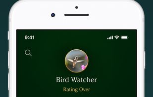 MirrorMirror Challenge screenshot 3