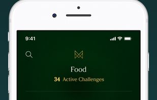 MirrorMirror Challenge screenshot 1