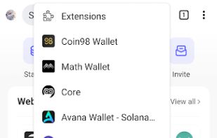 Mises Browser screenshot 1