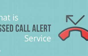 Missed Call Alert screenshot 1