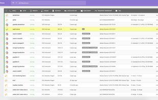Filter through your resources, view metadata information like cost, tag them, send actions & see who owns what.