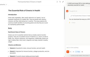 Mistral Le Chat screenshot 2