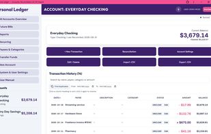 Desktop account register showing real-time ledger balances, multi-account navigation, transaction history, and direct tools for reconciliation and CSV import/export.